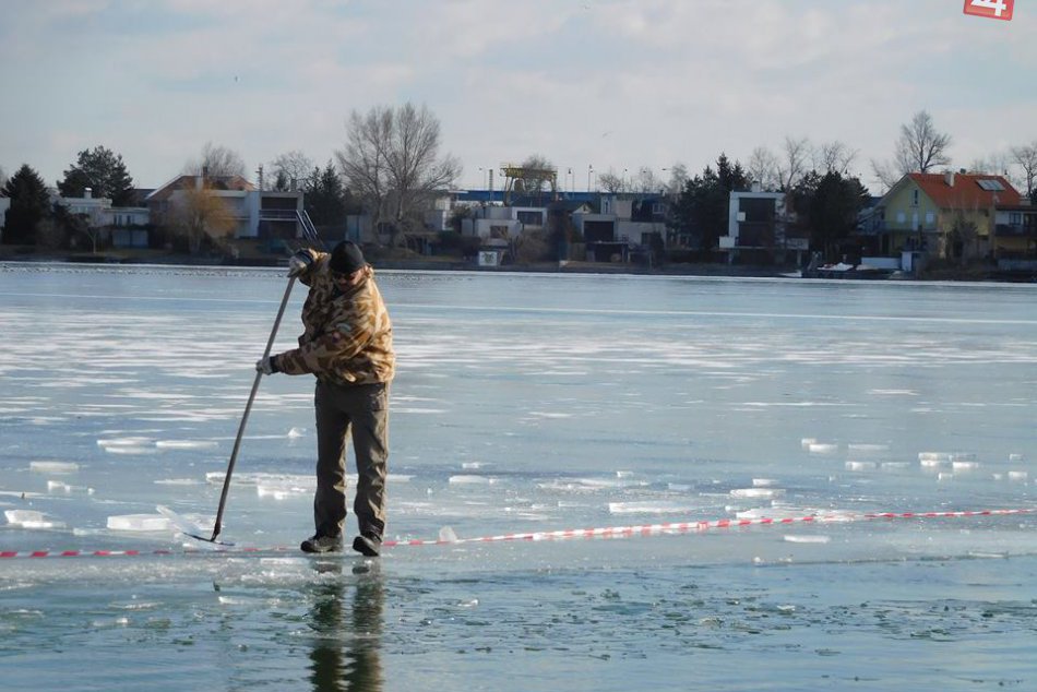 KURIOZITA DŇA: Trojkráľové kúpanie Ľadových medveďov neodradilo ani arktické poč
