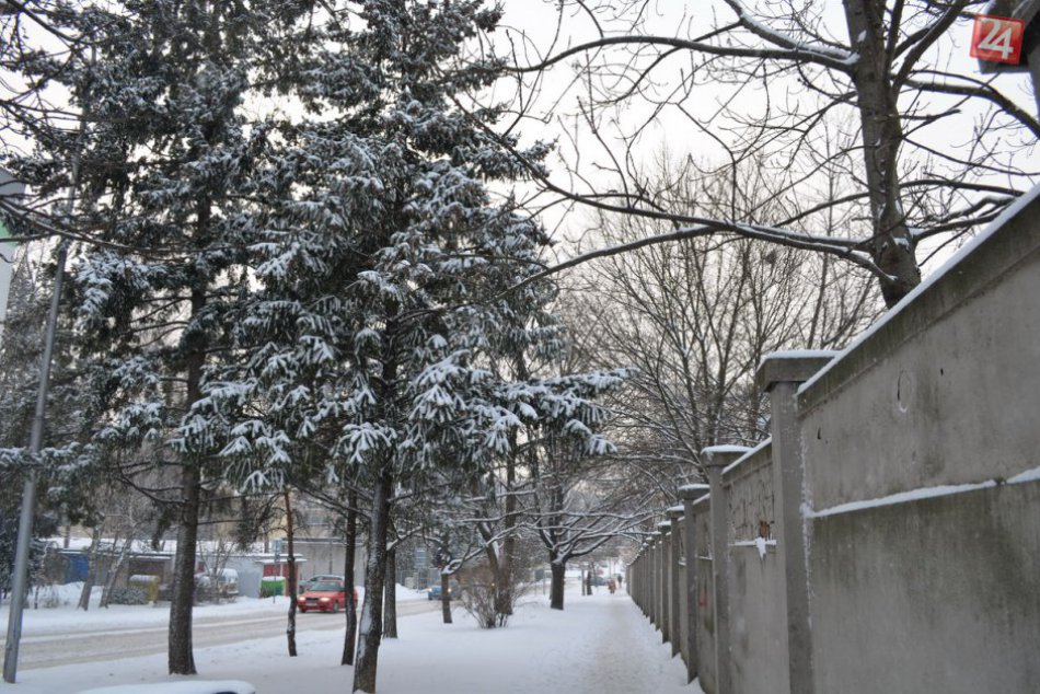 Sneženie skomplikovalo aj dopravu v Nitre: Chodníky prekryla biela perina, FOTO