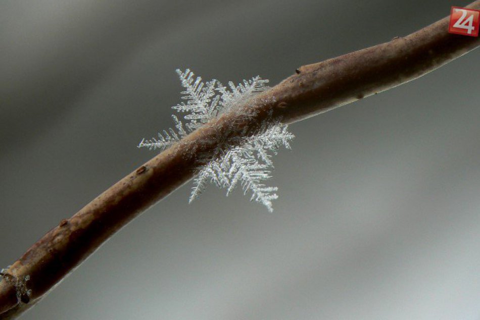 V OBRAZOCH: Unikátne zábery snehových vločiek nafotených pri Bystrici