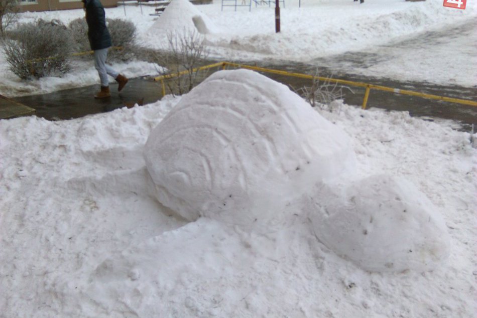 V OBRAZOCH: Dvaja mladí Lučenčania originálnym nápadom potešili okolie