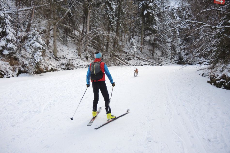 Prielom Hornádu 01/2017