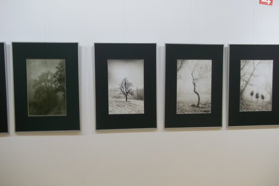 V Šali otvorili výstavu: Fotografickú tvorbu Ervina Barcziho