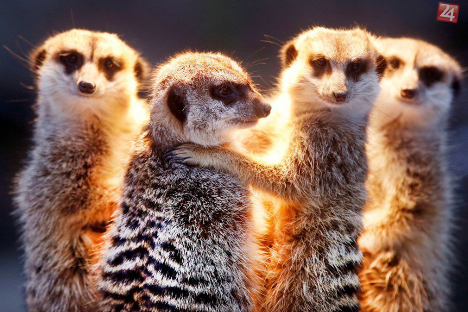 Ako využiť posledné dni prázdnin?