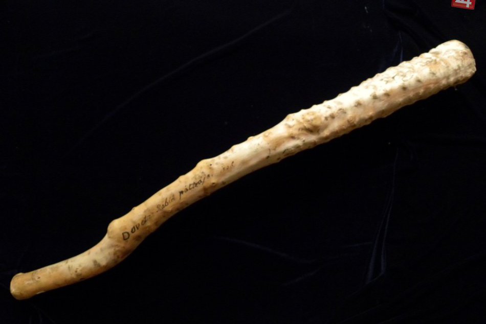 Obrazom: Záhadná lebka v betliarskom kaštieli