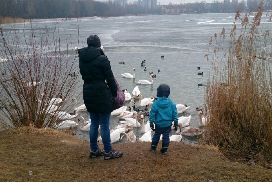 Labute na Veľkom Draždiaku
