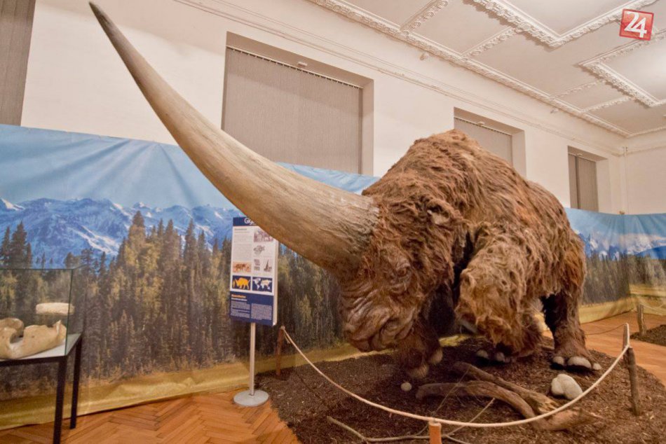 Giganty doby ľadovej 2017