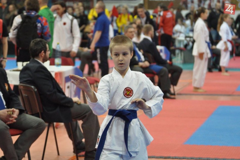 Central karate klub Poprad 02/2017 II