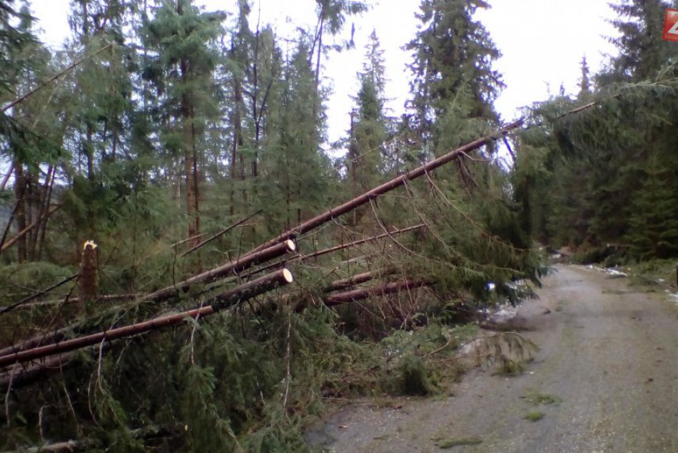 Silný vietor lámal stromy - Javorová a Široká dolina 03/2017