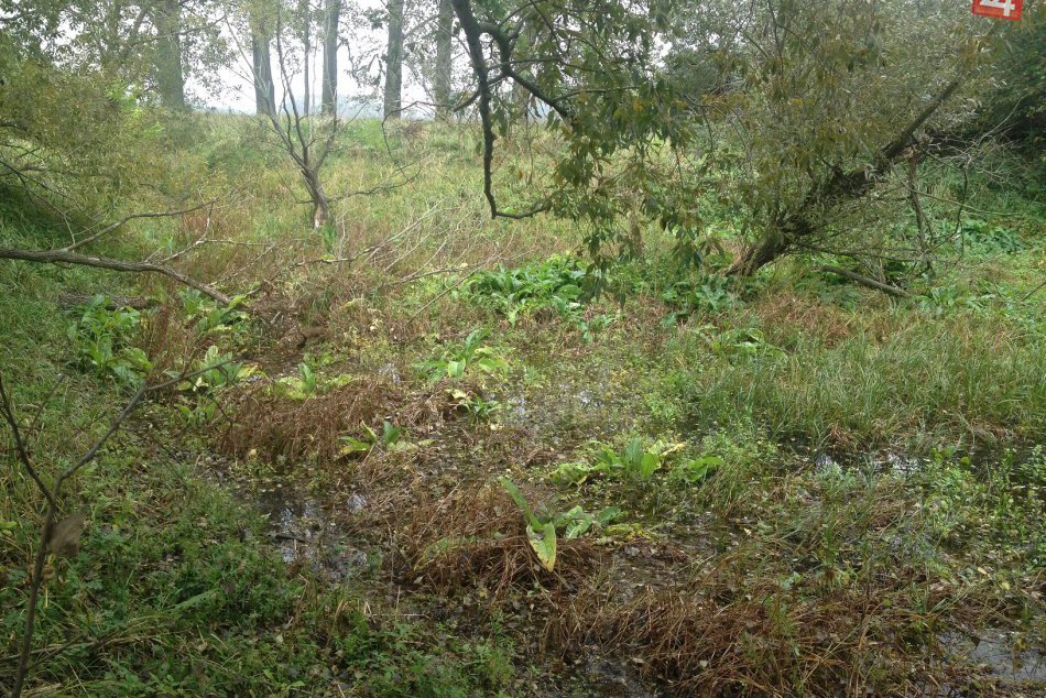 Seriál o prírodných zaujímavostiach: Dnes sa dočítate o Jahodnianskom jazierku