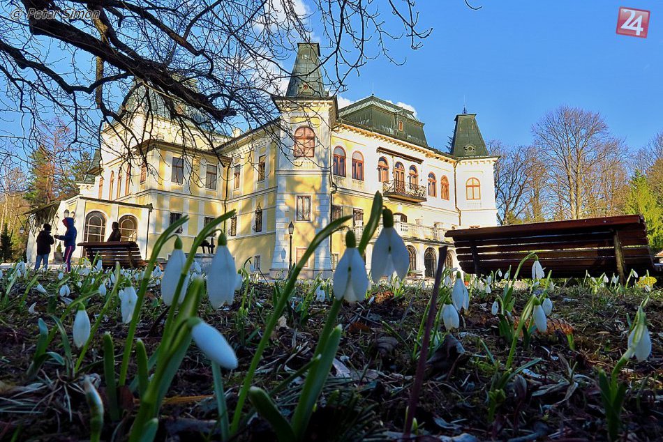 Obrazom: Snežienky sa už stali súčasťou múzea