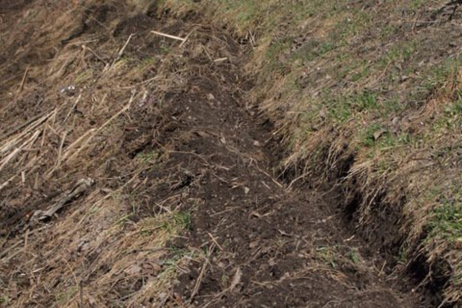 Obrazom: Migrácia žiab pri Rožňave