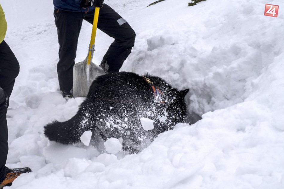 Kynologický seminár - Popradské pleso 03/2017