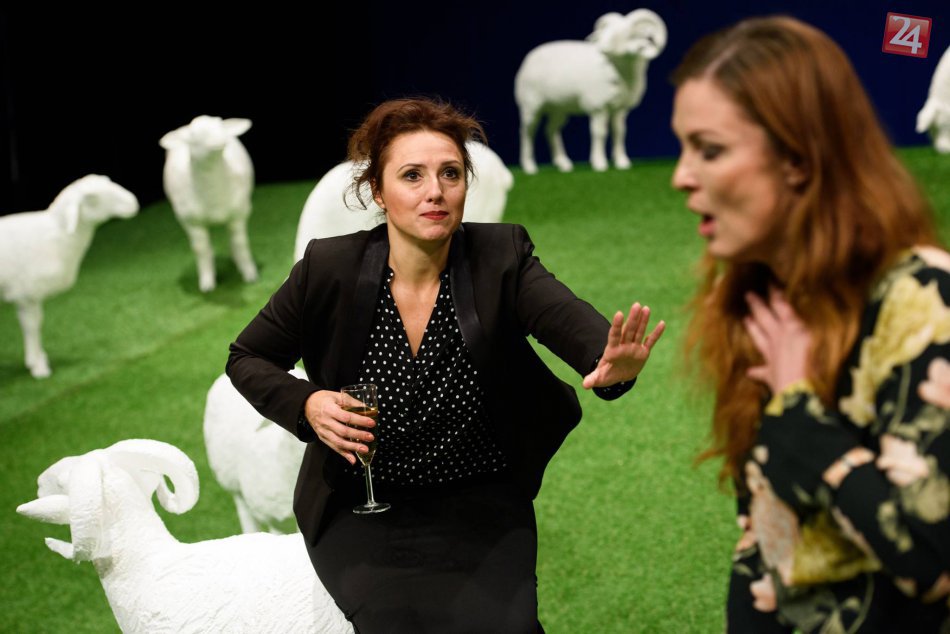 Mestské divadlo P. O. Hviezdoslava Job interviews