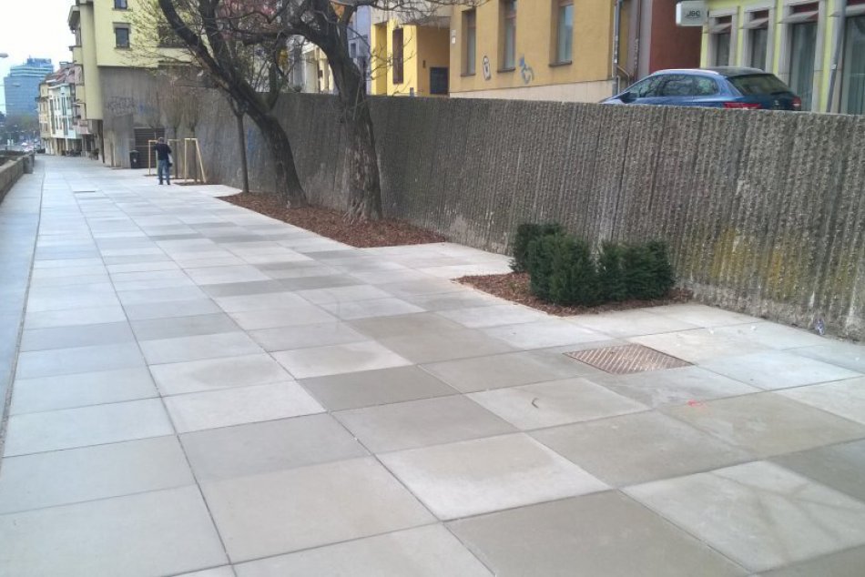 Novovysadené stromy v Starom Meste