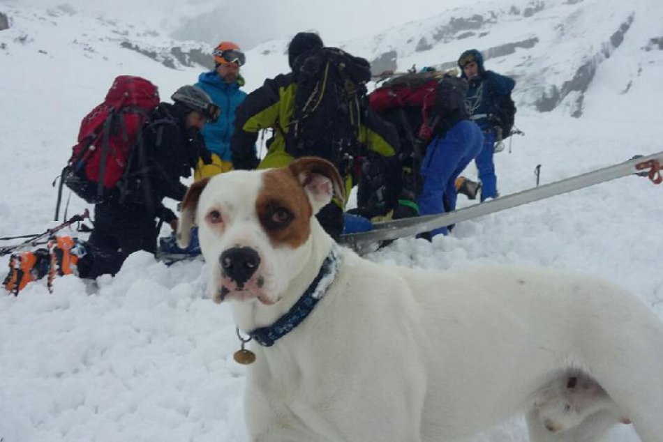 HZS spadli dve lavíny Malá studená dolina 04/2017