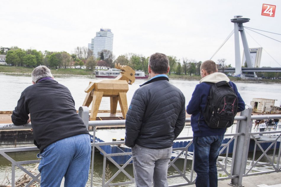 Drevený cap na Dunaji