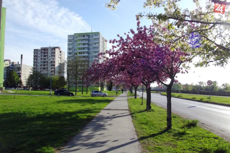 Jar nášmu mestu pridala na kráse: 10 fotiek z Hlohovca ako dôkaz