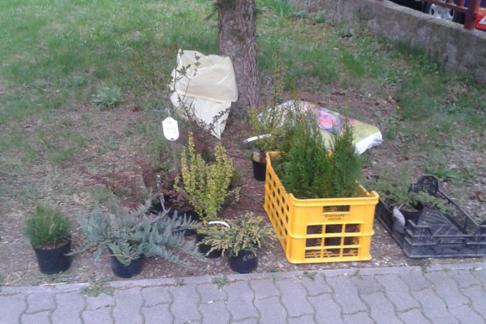 V OBRAZOCH: Západniari v akcii. Pustili sa do veľkého upratovania