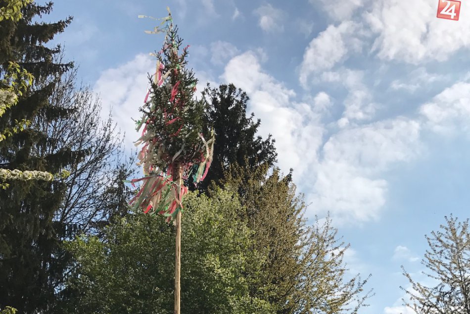 Stavanie májov v Považskej a okolí: Kde aké vyrástli?