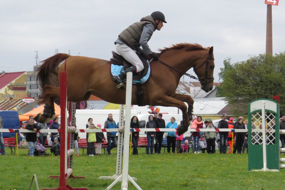 Obrazom: Jarná cena Michaloviec