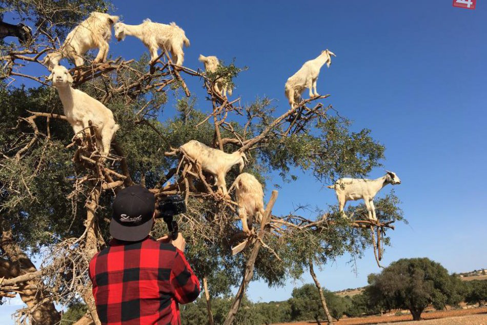 FOTO: Patrika Paulínyiho pobavilo na cestách najmä Maroko