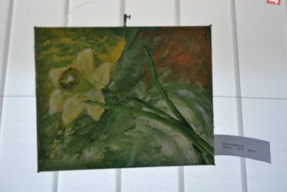 FOTO: Edita Haládiková sa predstavuje, slnko je ústredným motív jej tvorby