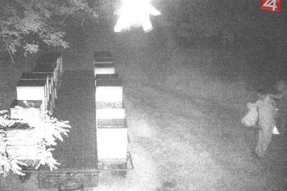 Pokus o krádež úľov v Palárikove