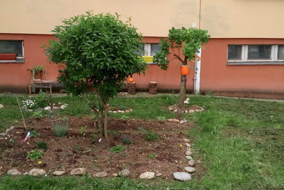 V OBRAZOCH: Krása zvolenských záhradiek