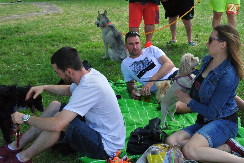 Festival psích športov 2017