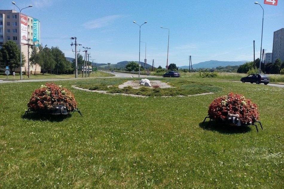 OBRAZOM: Na humenskom kruháči sa objavili obrovité lienky