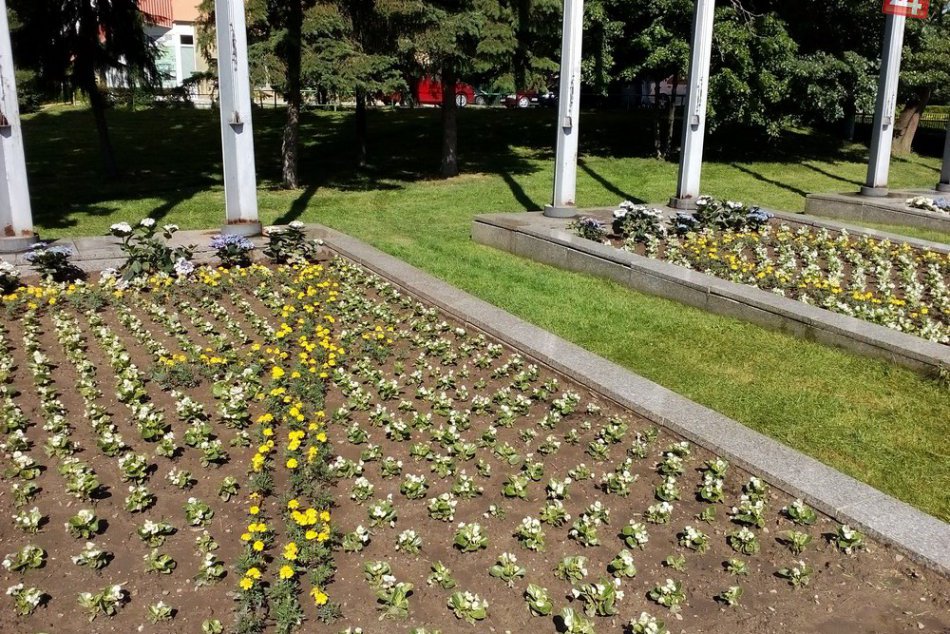 Videli ste už? Kvetinová výzdoba pred humenským parkom znázorňuje 700-ku