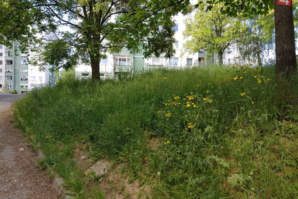 Považskobystričania sa sťažujú: Rozkvet zarastený trávou