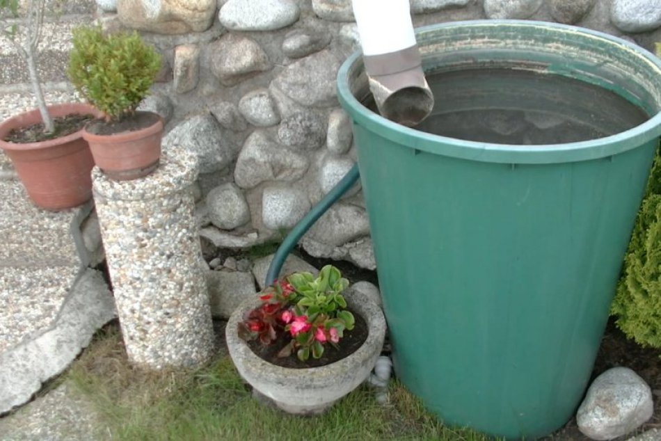 Dažďová záhrada 06/2017