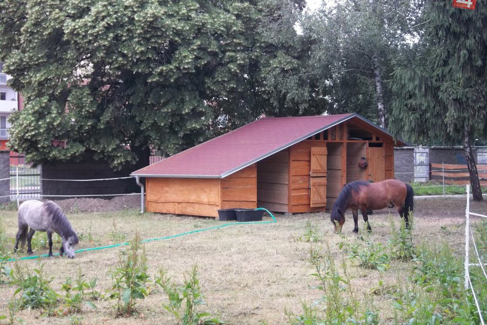 FOTO: Babičkin dvor má správkyňu Katku, zvieratkám pribudnú ďalší priatelia