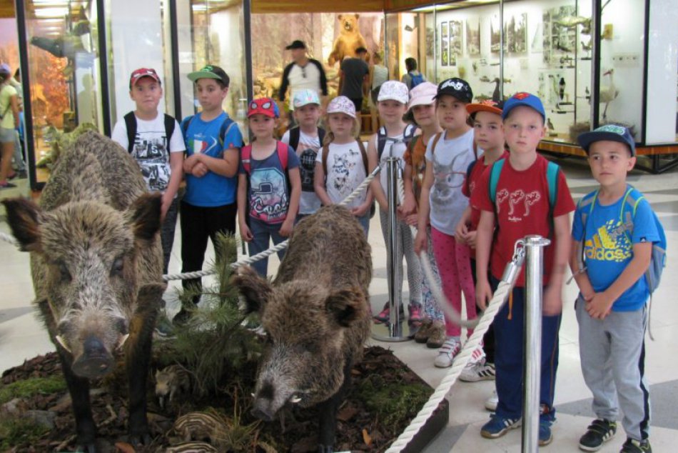 V OBRAZOCH: Revúcki školáci okúsili krásu Tatier