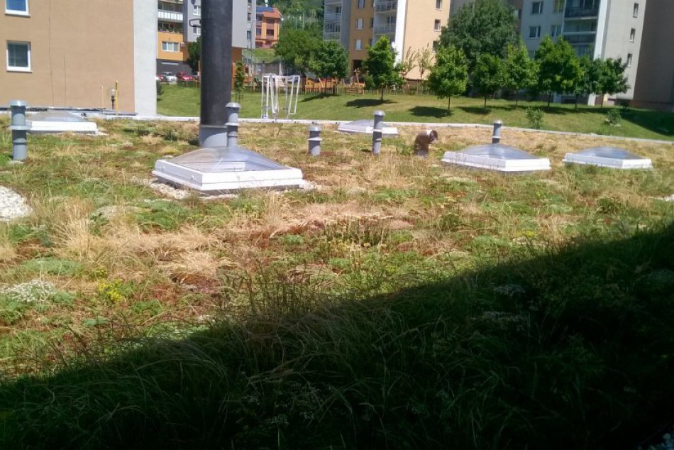 Zelená strecha na Domove seniorov Archa