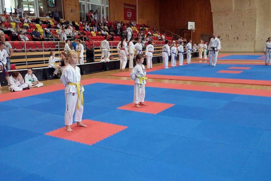 OBRAZOM: Taekwon-Do Hwa-rang Trnava na Znojmo Open 2017