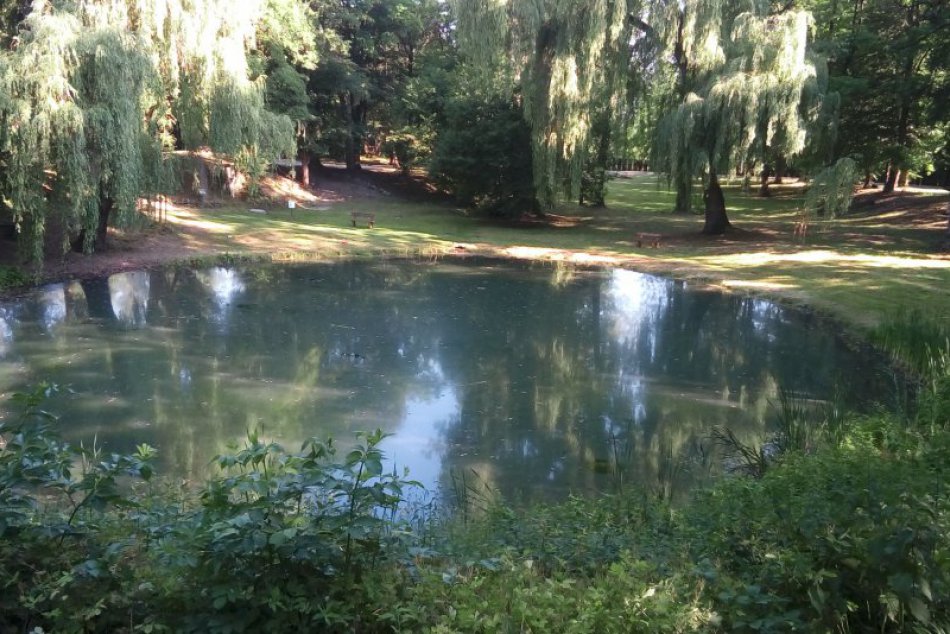V OBRAZOCH: Oáza pokoja na Borovej hore