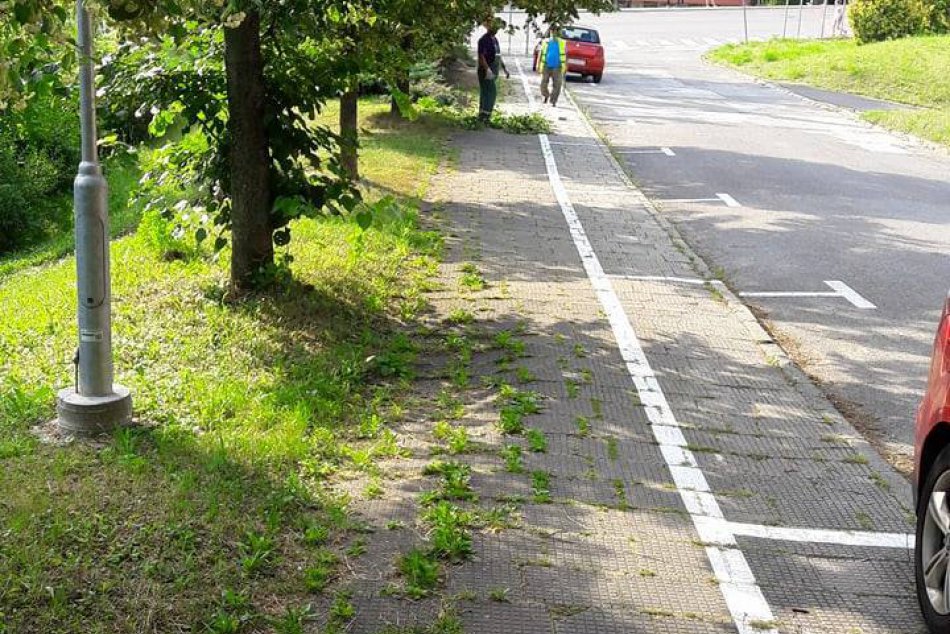 Na Belanskej ulici odstránili zeleň, ktorá zasahovala na chodník