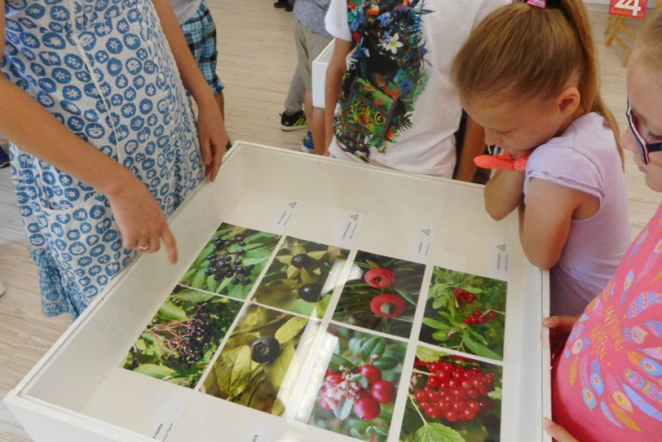 Nová výstava v Považskej: Vlastivedné múzeum o nástrahách prírody