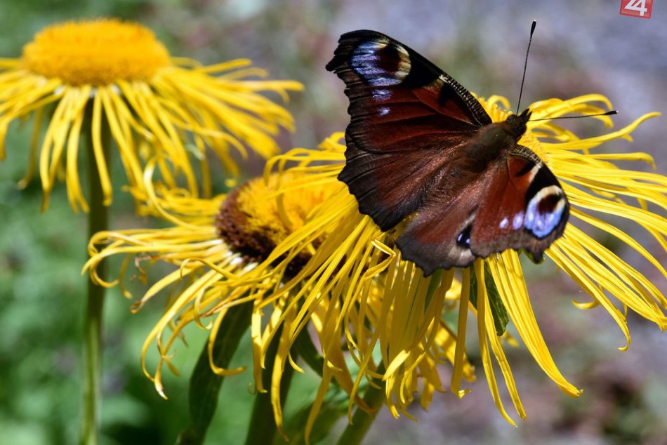 Po ich zhliadnutí budete vedieť KAM: Zábery odhaľujúce krásu Morského oka