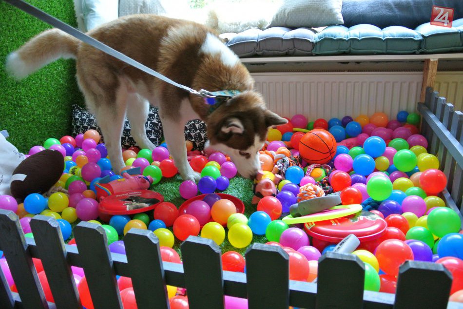 Otvorenie HAF.parku v Petržalke