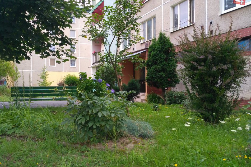 V OBRAZOCH: Revúcke predzáhradky hýria farbami