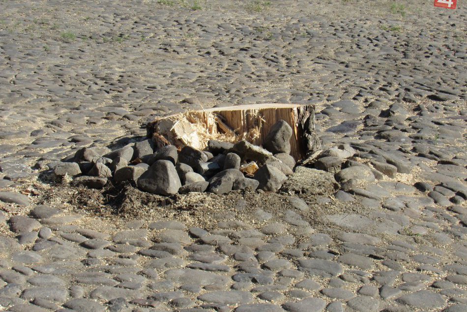 Známy park a centrum Prešova: Búrka sa postarala o smutné zmeny!
