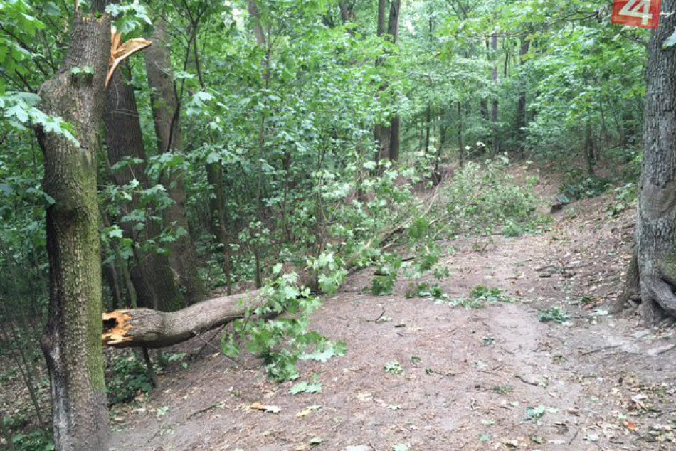 Horský park po veternej smršti