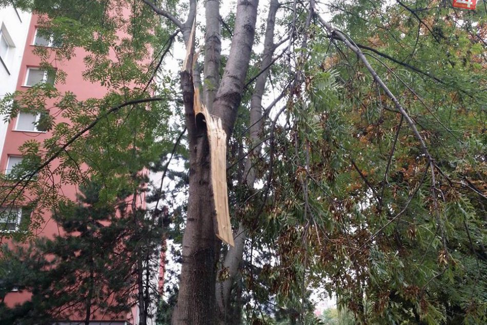 Následky veternej smršte v Petržalke (11. august 2017)