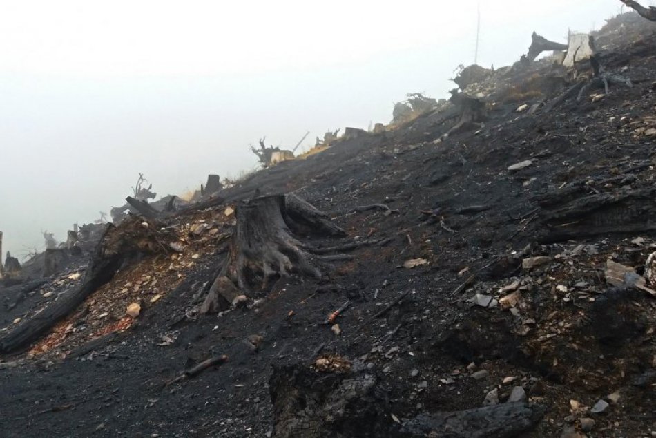 Obrazom: Foto priamo z požiaroviska na Súľovej