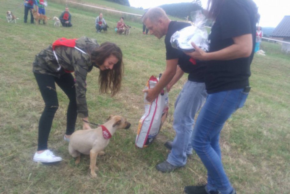 Na Spiši zápolili psíky o tituly: Títo štvornohí chlpáči zaujali najviac