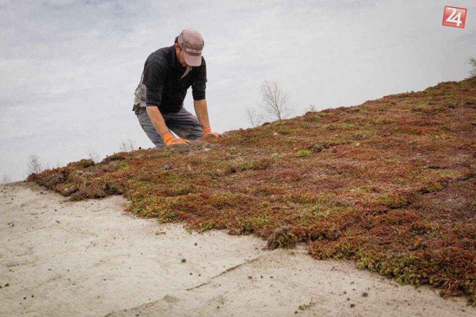 Zelené strechy by sme mohli mať aj v našom meste