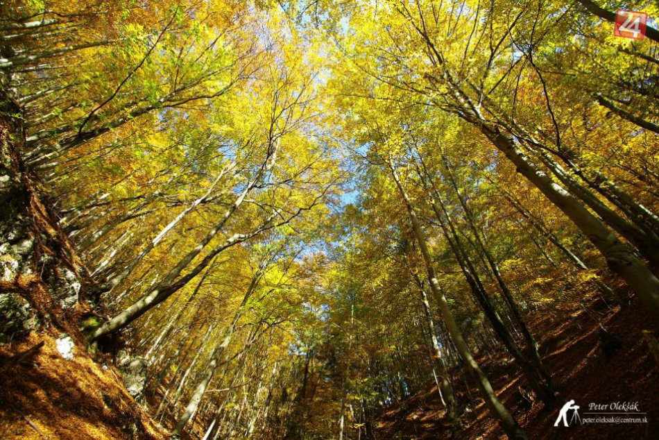 Navnaďte sa na prichádzajúcu jeseň spolu s nami: Krásne zábery zo Spiša